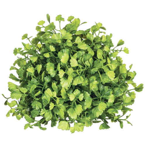 Maiden Hair Fern Half Orb