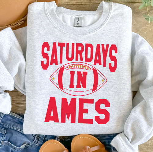 Saturdays In Ames Crewneck Sweatshirt: L